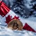 Canada’s Tax Authority Targets Crypto Tax Dodgers, Investigating Multimillion-Dollar Cases