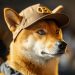 Is DogWifHat Dead? Crypto Expert Tweets $1 Price Target, New Meme Coin WienerAI Raises $1.4 Million