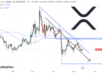 XRP Price Prediction with Binance Futures Halting XRP as Margin Asset – Time to Sell XRP?