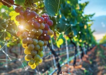 Louis Vuitton-Affiliated Château d’Esclans And BlockBar To Sell $22,000 NFT Rosé Barrel