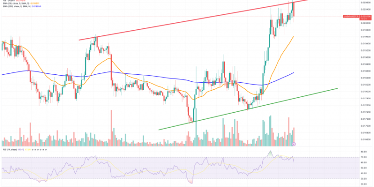 Jasmy Coin Price Prediction as JASMY Rockets Up 12% – Are Whales Buying?