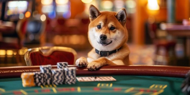 Floki Holders Are Flocking to This Crypto Casino Project – 100x Possible in 2024?