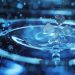 XRP Ledger Sees Over 100% Surge in Transaction Activity Amid Decline in Average Costs
