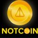 TON cryptocurrency NOTcoin Bottoms Around $0.0054 As Miners Book Profits, Whales Circle