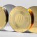 Mobs of Bonk Inu Token Traders Now Buying Mollars ICO