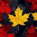 Deutsche Bank Infra Provider Taurus Expands to North America