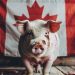 Canada Warns of Rising Pig Butchering and Crypto Investment Scams