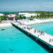 American who carried ammunition in Turks and Caicos gets suspended sentence and heads home. Fate of others charged is unclear