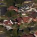 Small plane loses power and skims suburban rooftops before making crash landing on belly