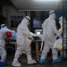Nipah virus death puts health officials on alert in southern India