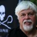 Veteran anti-whaling activist Paul Watson could be extradited to Japan after arrest in Greenland, his foundation says