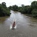 10 migrants killed in floods crossing Darién Gap in Panama