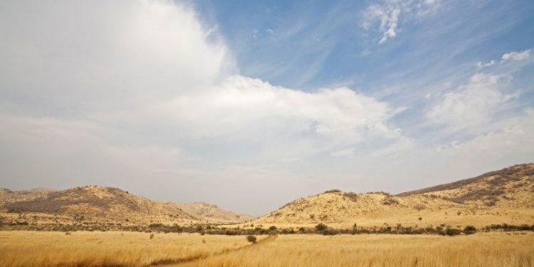 12 school children and driver killed in South Africa minibus crash