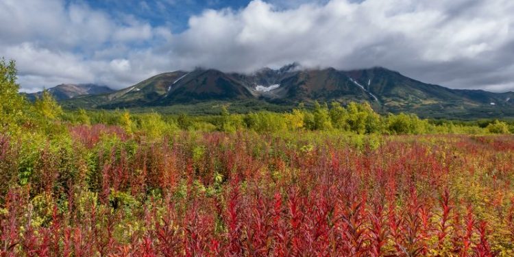 Russian helicopter with 22 on board goes missing near Far East volcano