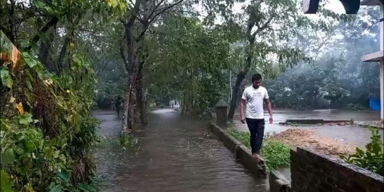 Deadly floods impact hundreds of thousands in Bangladesh and northeast India