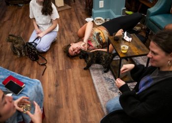 At one cat cafe, Vance’s ‘childless cat ladies’ remark prompts derision