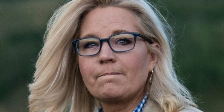 Republican Liz Cheney says she will vote for Kamala Harris this election