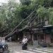Typhoon Yagi kills dozens in Vietnam, China, Philippines