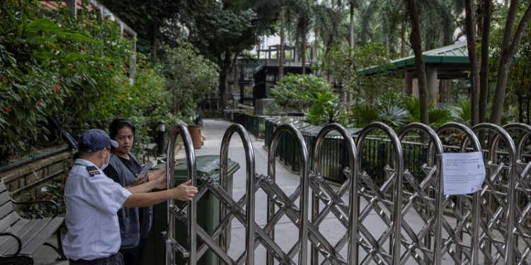 Monkeys killed by soil infection at Hong Kong zoo, officials say