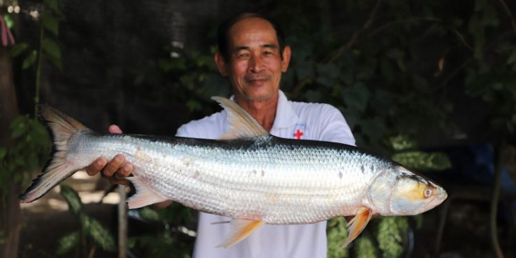 Scientists feared this huge ‘ghost’ fish was extinct. It was just seen after almost 20 years