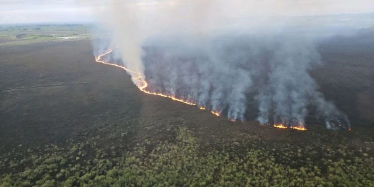 Firefighters battle huge blaze tearing through New Zealand wetland home to threatened species