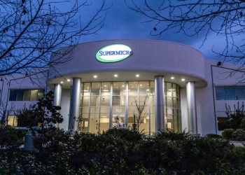 Super Micro’s $50 billion stock collapse underscores risk of AI hype