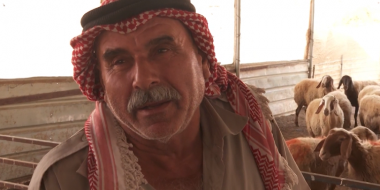 ‘They came and demolished everything’: Palestinians fear more evictions in the West Bank under Trump