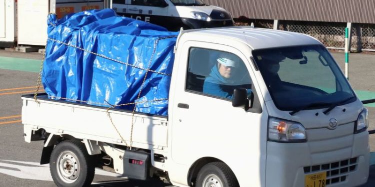 Bear attacks worker, ransacks meat section in Japan supermarket rampage