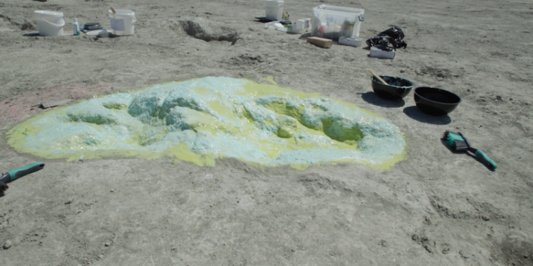 Nearly 200 Jurassic footprints unearthed on ‘dinosaur highway’ in southern England