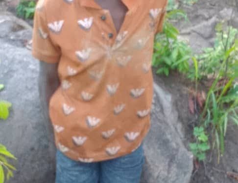 Boy, 7, found alive in ‘lion-infested’ Zimbabwe game park after going missing for five days