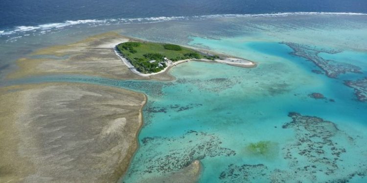 Coral bleaching on Australia’s Great Barrier Reef reaches ‘catastrophic’ levels, study finds