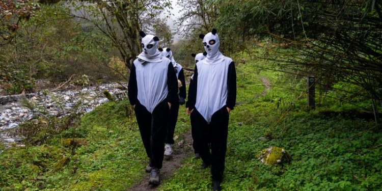 China is more in love with its pandas than ever. That’s complicated matters for Beijing