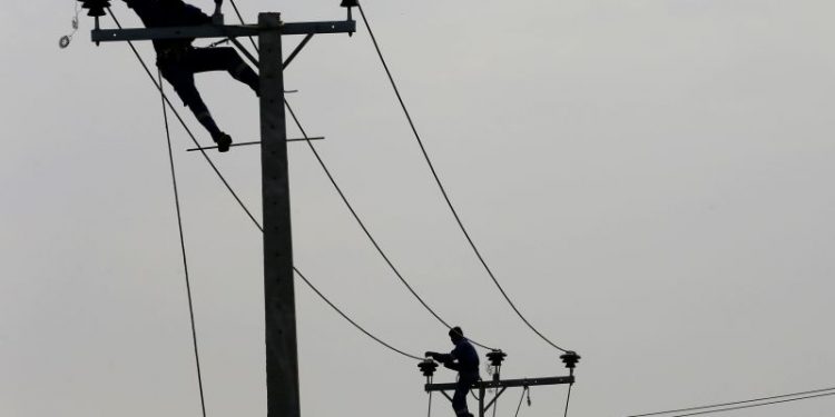 Monkey blamed for nationwide blackout as Sri Lanka scrambles to restore power