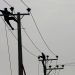 Monkey blamed for nationwide blackout as Sri Lanka scrambles to restore power