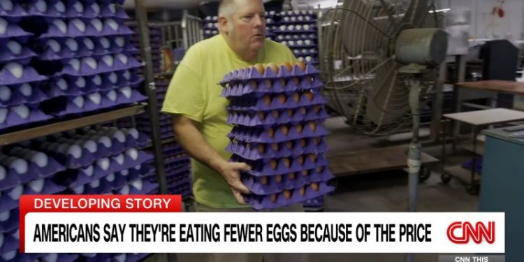 As egg prices soar, US Customs and Border Protection cracks down on egg smuggling