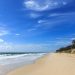 Teenage girl killed in shark attack while swimming at Australia tourist spot