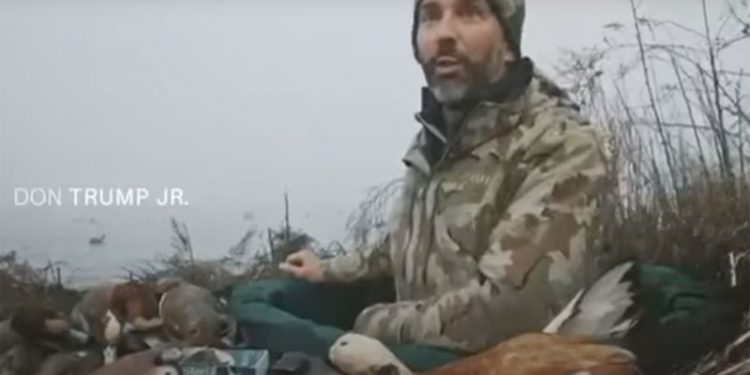 Donald Trump Jr. accused of shooting protected rare duck in Venice lagoon