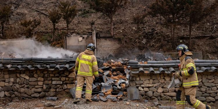 Man caring for ancestors’ grave may have ignited huge South Korea wildfire, police say