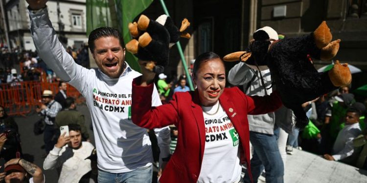 Mexico City bans swords from bullfights, in win for animal activists