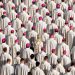 Cardinals prepare to battle over the future direction of the Catholic Church