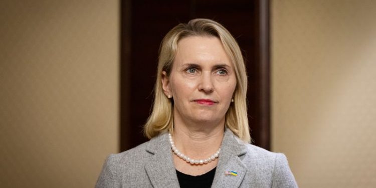 Pressures from Kyiv and Washington led to US ambassador’s resignation, sources say