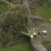 Sycamore Gap: Two men convicted of felling one of UK’s most famous trees
