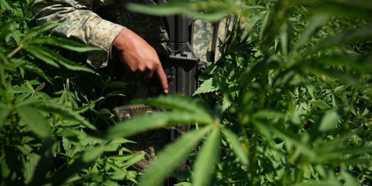 Meeting with a member of one of the most powerful criminal networks in the world