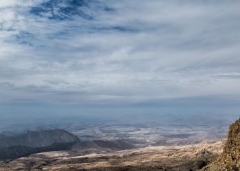 Three children and two adults killed in suicide attack on school bus in Pakistan