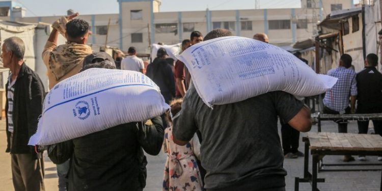 Nearly 80 aid trucks carrying food ransacked in Gaza Saturday, says WFP as famine worsens