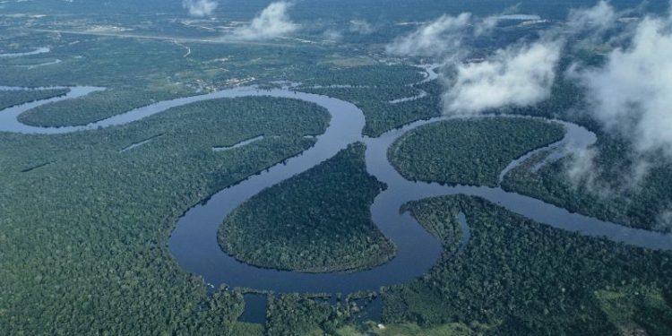 Armed assailants rob tourists, drain bank accounts on Peruvian Amazon boat trip