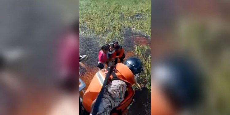 Five people rescued almost two days after plane crashes into alligator-infested swamp