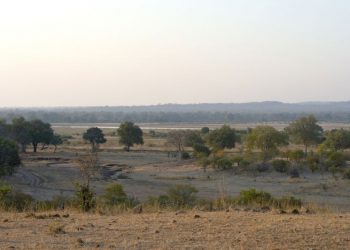 Elephant kills two female tourists from the UK and New Zealand in Zambian national park