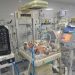Desperate Gaza doctors cram several babies into one incubator as fuel crisis reaches critical point