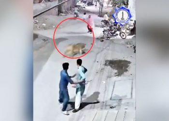 Owners of pet lion arrested after it jumped a wall and attacked a woman and two children in Pakistan